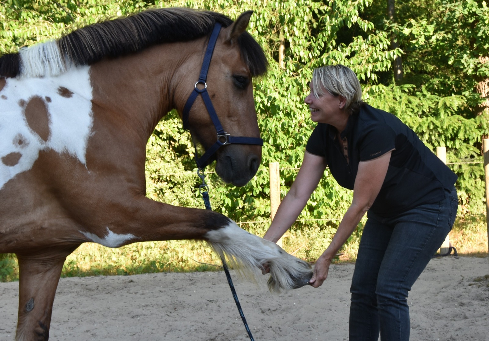 Paard dat pilates doet